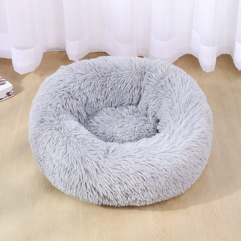 Purrfect Nest