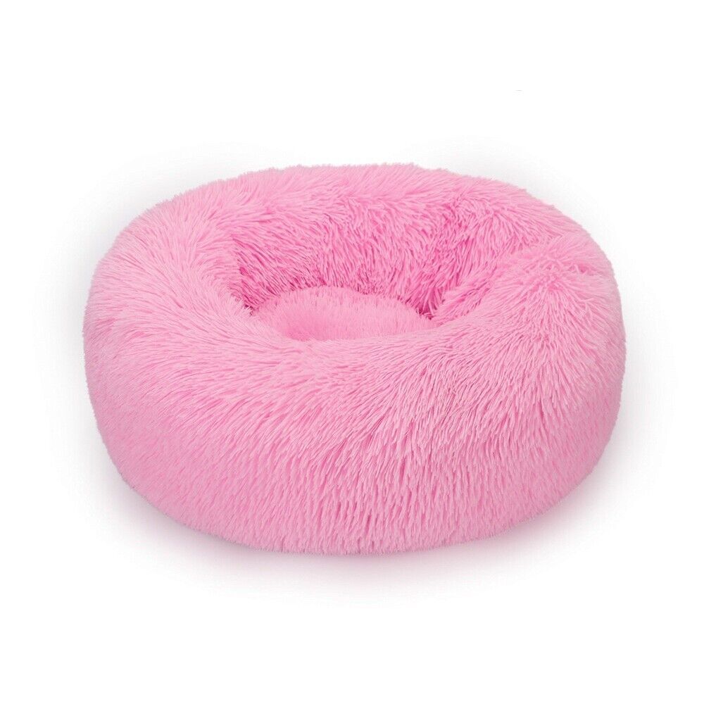 Purrfect Nest