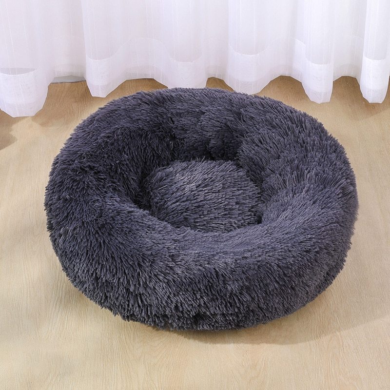 Purrfect Nest
