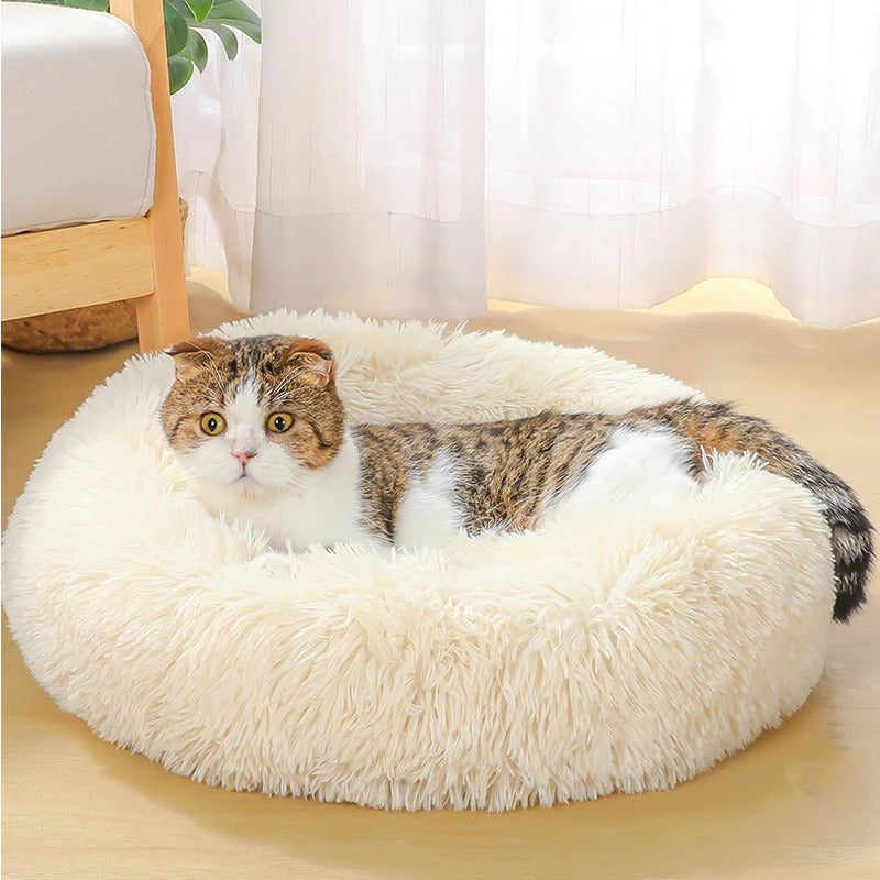 Purrfect Nest