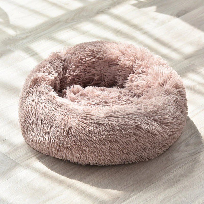 Purrfect Nest