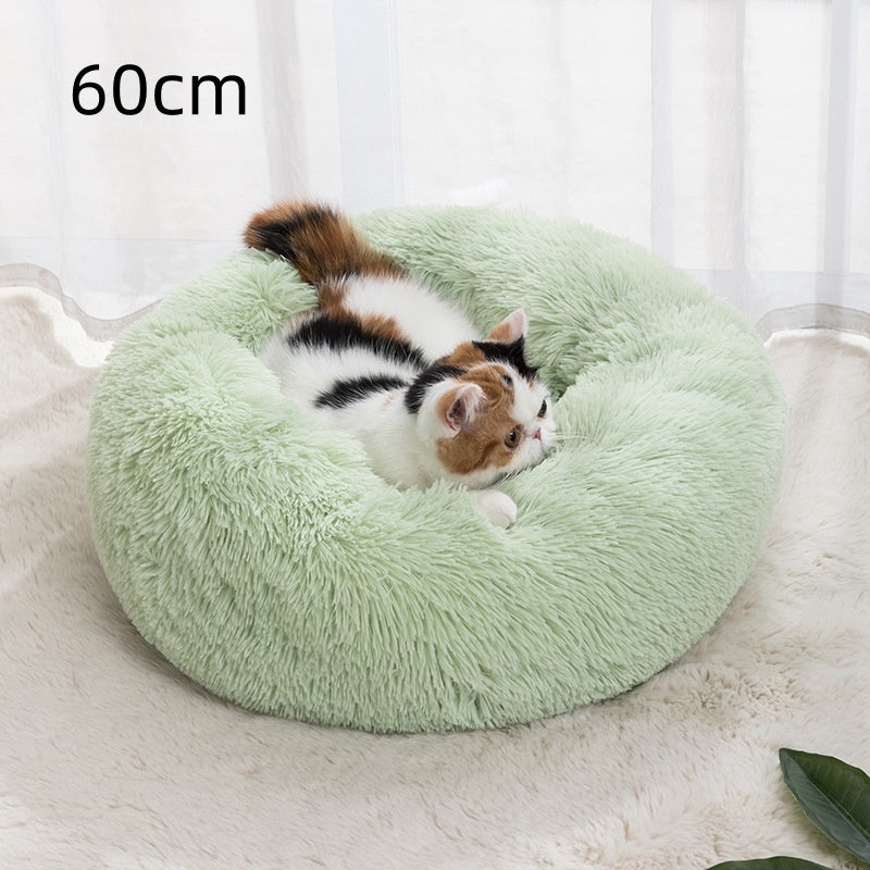 Plushy Paw