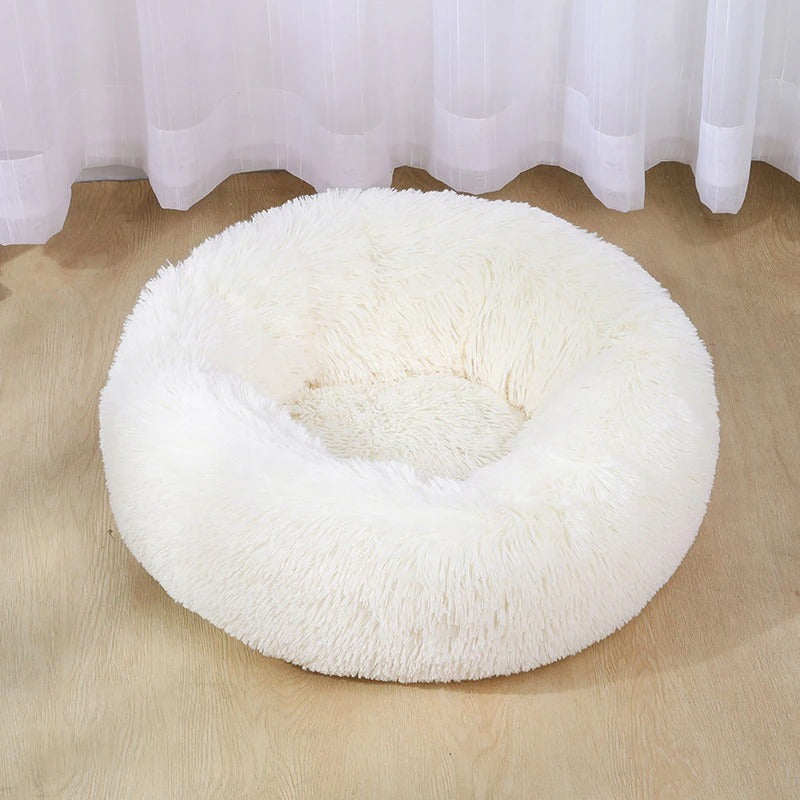 Purrfect Nest
