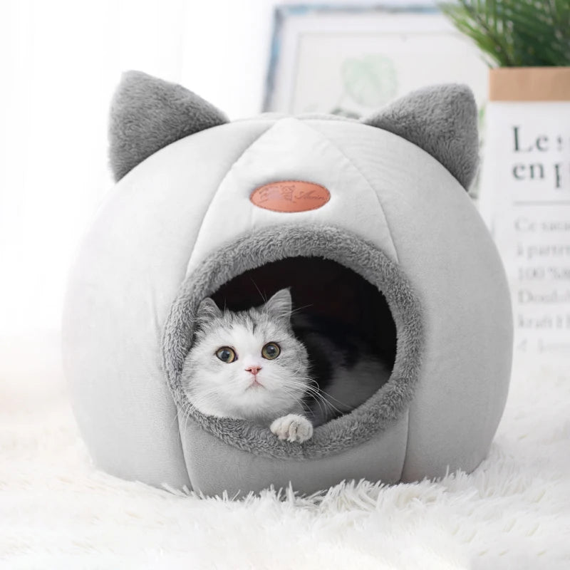 Deep Sleep Comfort