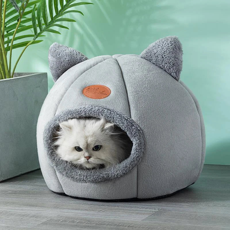 Deep Sleep Comfort