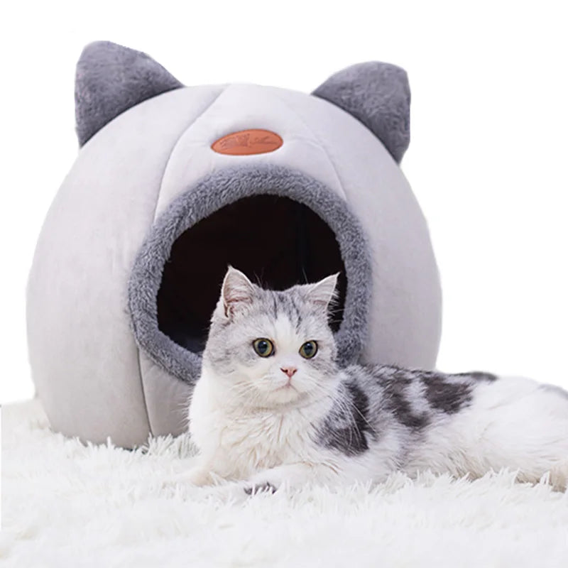 Deep Sleep Comfort