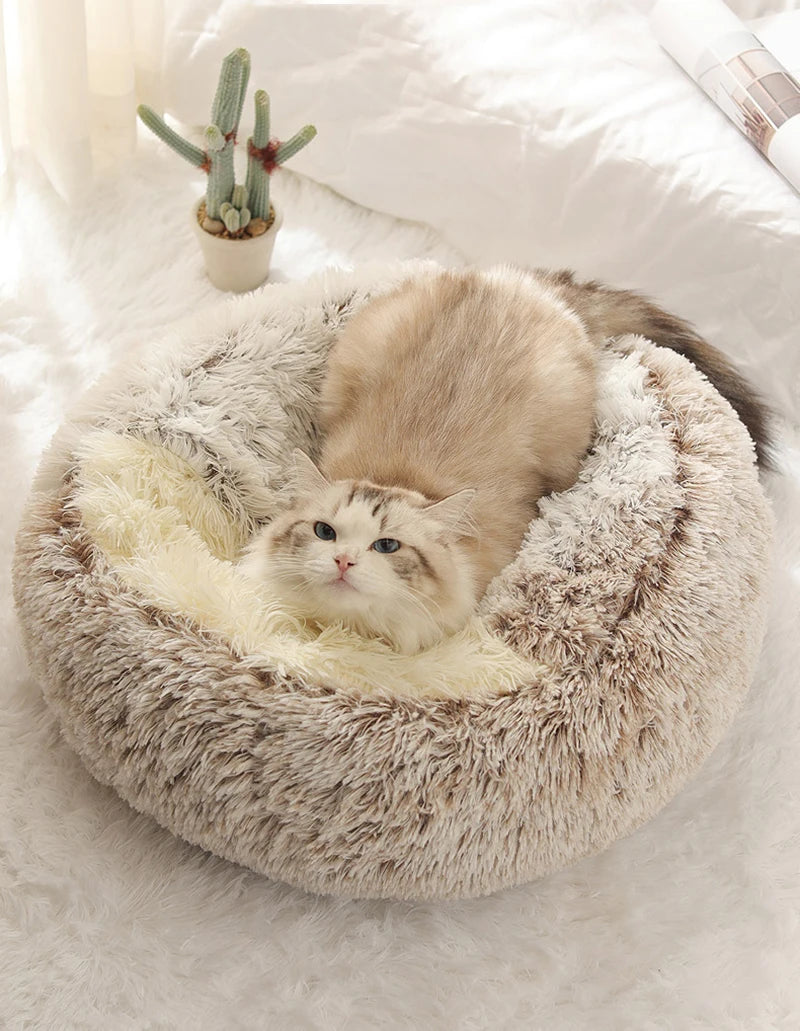 Snuggly Snuggle