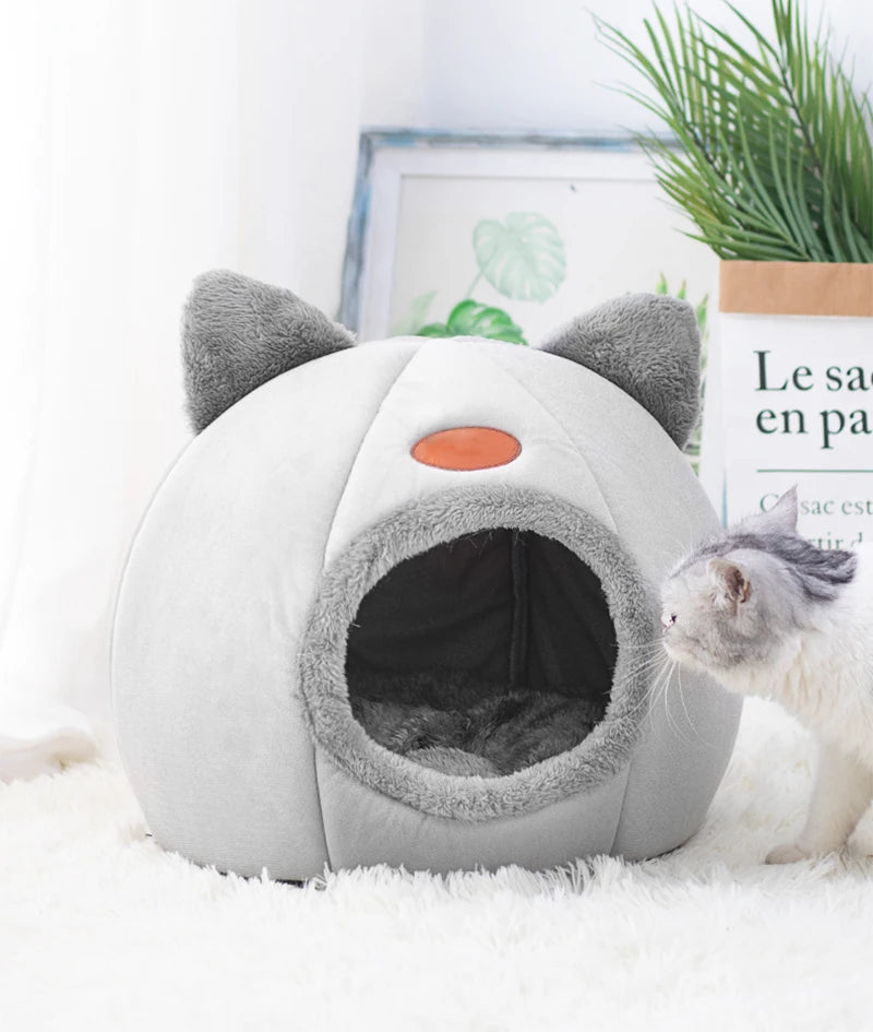 Deep Sleep Comfort