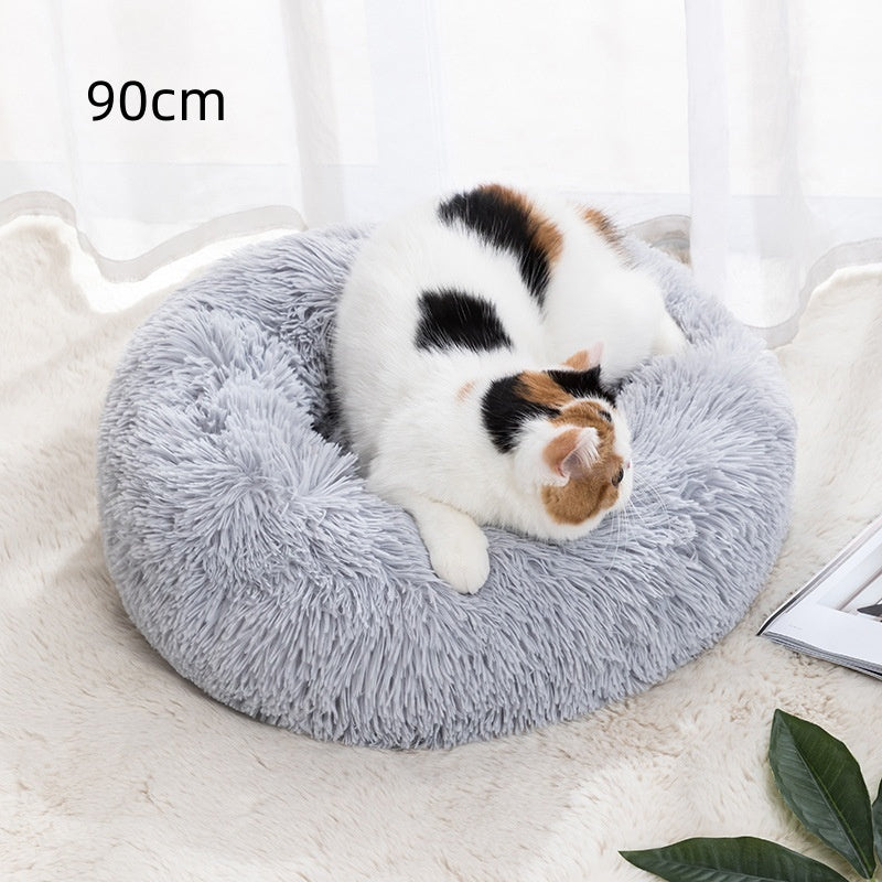 Plushy Paw