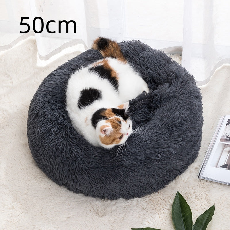 Plushy Paw