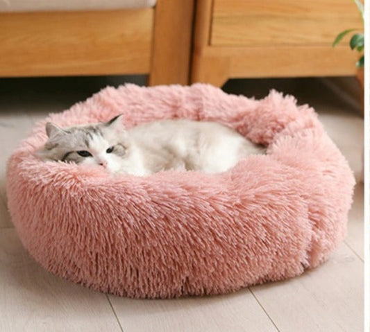 Purrfect Nest