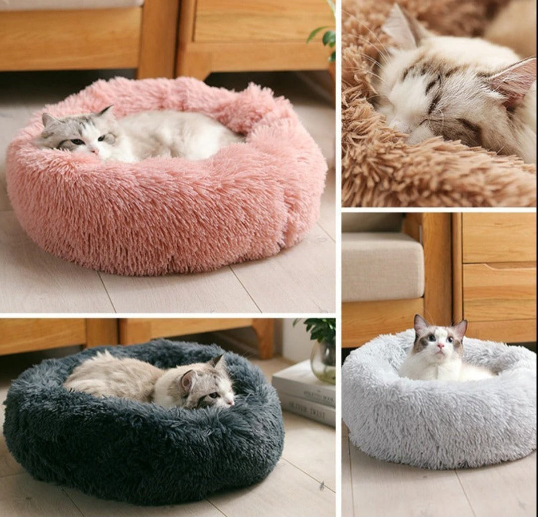 Purrfect Nest